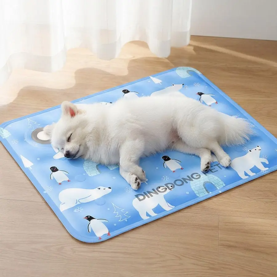 강아지 쿨매트는 차가운 느낌만 보고 고르면 금방 밀려나요 🐶