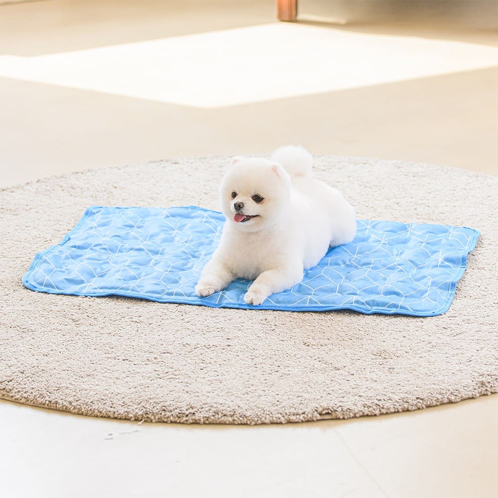 강아지 쿨매트는 크기와 미끄럼부터 확인해요 🐾