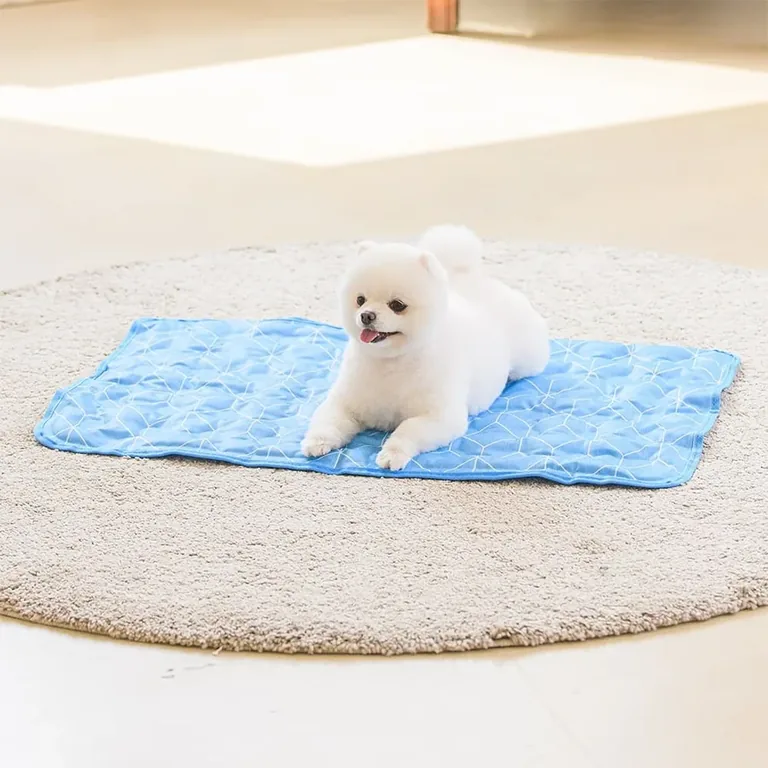 강아지 쿨매트는 크기와 미끄럼부터 확인해요 🐾